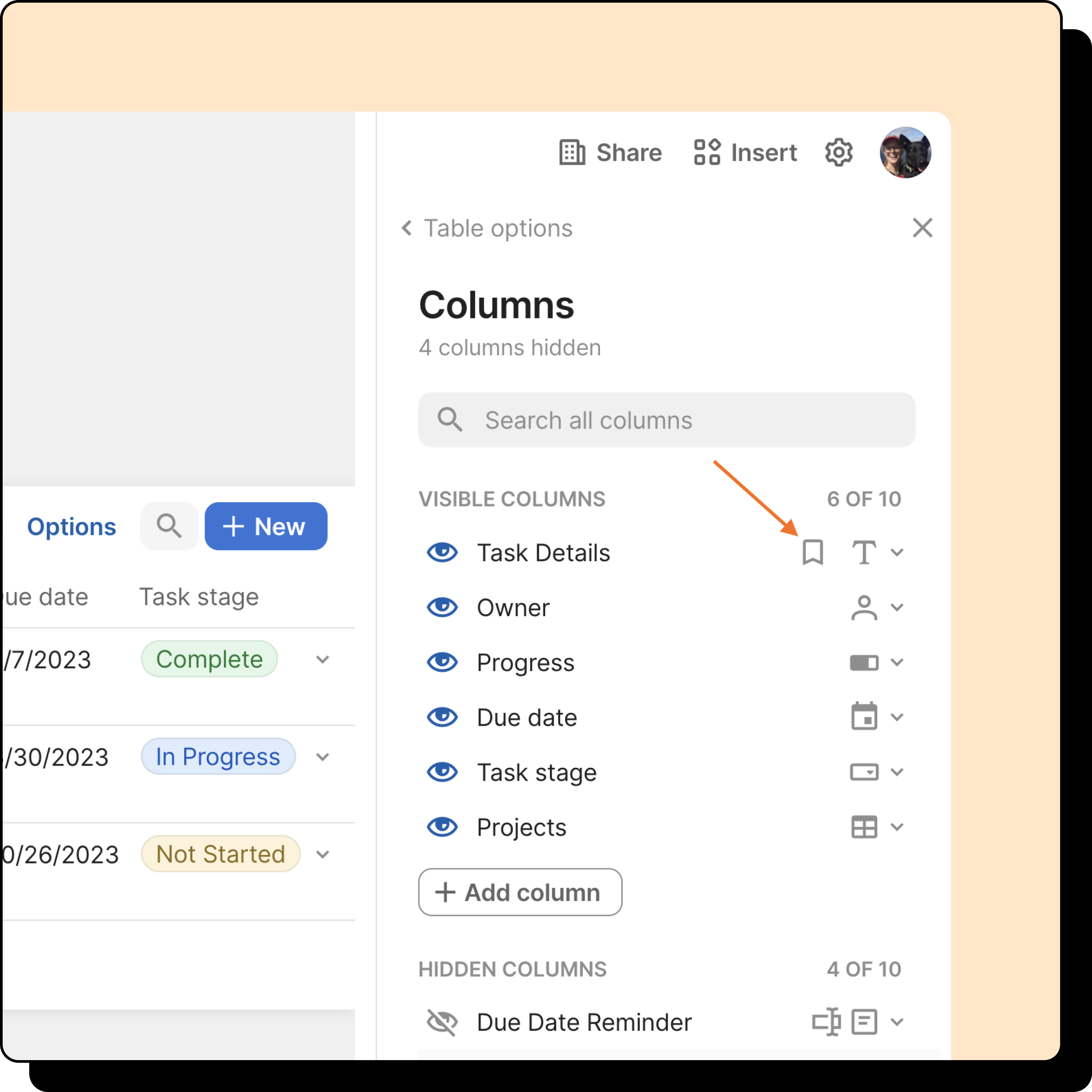 An image of a table's column list, with the display column's bookmark icon being pointed to.